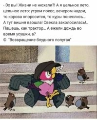 Деревенские кадры, которые возвращают в беззаботные деньки