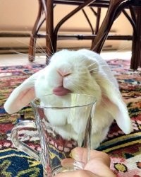 Заходи, поржем. Смешные картинки с комментариями из соц. сетей