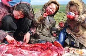 А оленей и тюленей кушать можно? Или это ужос ужос и жестокое обращение с животными?