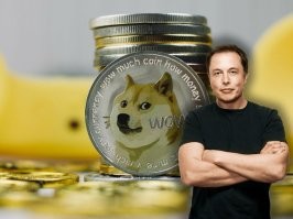 В Гонконге умер знаменитый мемный пёс Чимс
