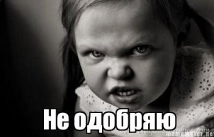 "Кого она съест в следующий раз на видео — собаку, кошку?": в Госдуме призвали наказать Ивлееву, которая скормила гостье морскую свинку