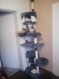 Эрик. 30 августа исполнится два года. Подарок уже вручен. Так как конструкция сложная и нужно время для изучения)