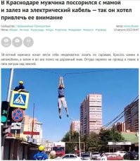 «Как вороны сидят»: в Карачаево-Черкесии пять обезьян устроили посиделки на трубе после побега от хозяина