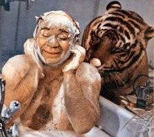 подверждаю