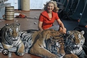 -Не правда, я заводчица мейкунов...