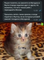 600 км на машине. ну по меркам Сибири близко