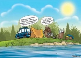 На Камчатке бывает и такое: медведь похозяйничал в лагере у туристов