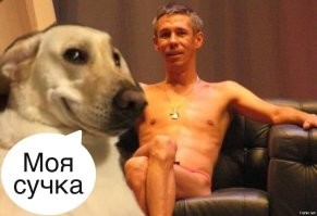 себе намордник одень любитель шавок!