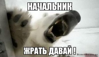 Смешные картинки с комментариями из социальных сетей