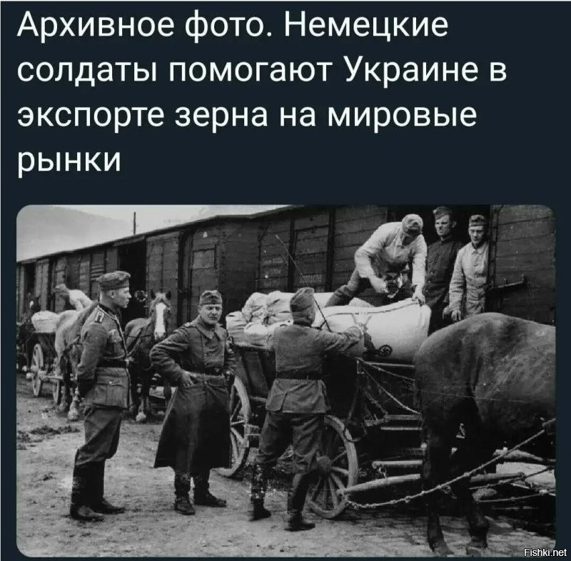 Что не получилось у фюрера удалось Шольцу. Сталин не дал грабить Украину, а Зеленский ее распродает за леопарды и мардеры