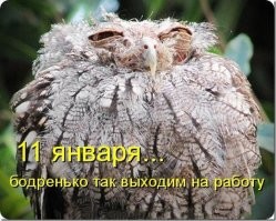 С&nbsp;добрым утром