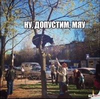 Обычный день в Костроме: медведь напал на двух парней, сидящих на лавочке во дворе