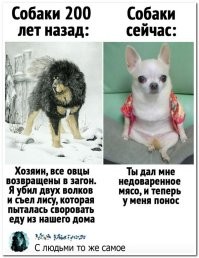 Не ищите здесь смысл. Здесь в основном маразм