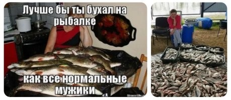 Скрины из соцсетей&nbsp;