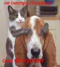 В Одессе произошел конфликт из-за канализационного люка