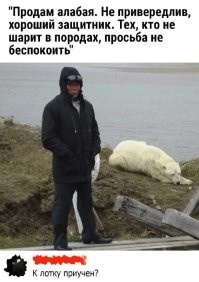К лотку приучит.