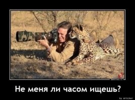 Новые демотиваторы на любой вкус 