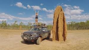 А чего термитов вниманием обошли? Там сооружения побольше 2.5 метра..