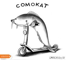 Тут явная обоюдка.
Для водителя авто - два нарушения, не остановился у ПП когда другие остановились (ПДД РФ п.14.2). СИМ приравняли к пешеходам, и то, что водитель СИМ на ПП должен спешится не отменяет п.14.1. Тем более, что в п.14.3 прямо указано, что перед продолжением движения через ПП водитель обязан цитирую "дать возможность пешеходам и лицам, использующим для передвижения средства индивидуальной мобильности, закончить пересечение проезжей части (трамвайных путей) соответствующего направления.". В этом пункте (14.3) не указано, что обязательно СИМ надо катить рядом - так что уступать придется всем, как пешим так и катящимся.
Для самоката - согласно поправкам ПДД от нынешнего года СИМ приравняли в правах к пешеходам, им разрешено двигаться как по пешеходным так и по велосипедным сигналам. Причем во многих пунктах ( поправки в п.п. с 6.1 до 6.15 и еще разбросаны во всем ПДД) НЕ сказано что СИМ надо спешиваться. В частности, при выезде с прилигающих дорог надо пропускать как пешеходов так и все СИМ. Тут нюанс в том, что не со всех СИМ можно спешиться (те же инвалидные коляски). А некоторые СИМ (те же роликовые лыжи с креплениями) долго "спешивать". Так что обязанность спешиваться на ПП, скорее всего, будет скорректирована. Хотя пока в правилах такой пункт есть и к нему можно "докопаться". За это с самокатчика возьмут штраф 500 рублей. НО правила не обязывают самокатчика дожидаться наказания ибо на них не распространяются общие обязанности водителей:
- Он не должен предъявлять документы.
- За нарушения ПДД отвечает как пешеход.
- Если уедет с места ДТП, его не привлекут к ответственности.
Остается вопрос, кто будет платить за повреждение арендуемого самоката (если он взят в аренду). Понятное дело, они застрахованы - но страховая начнет искать с кого бы содрать денег, и кто тут будет жертвой (водитель или самокатчик) не ясно.