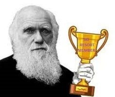 Претендент на звание самой неудачной кражи века