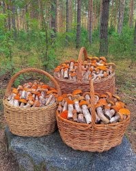 Ну ты понял...