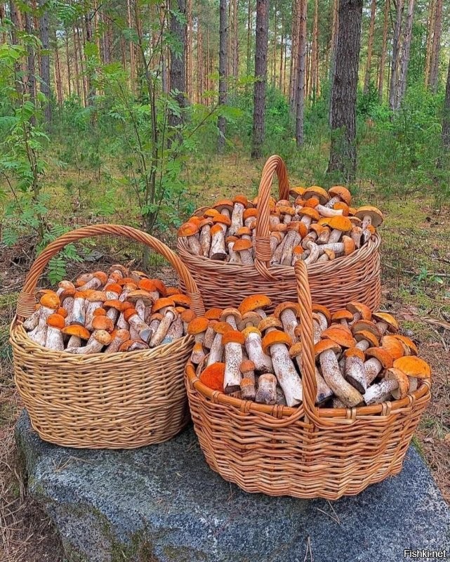 Ну ты понял...