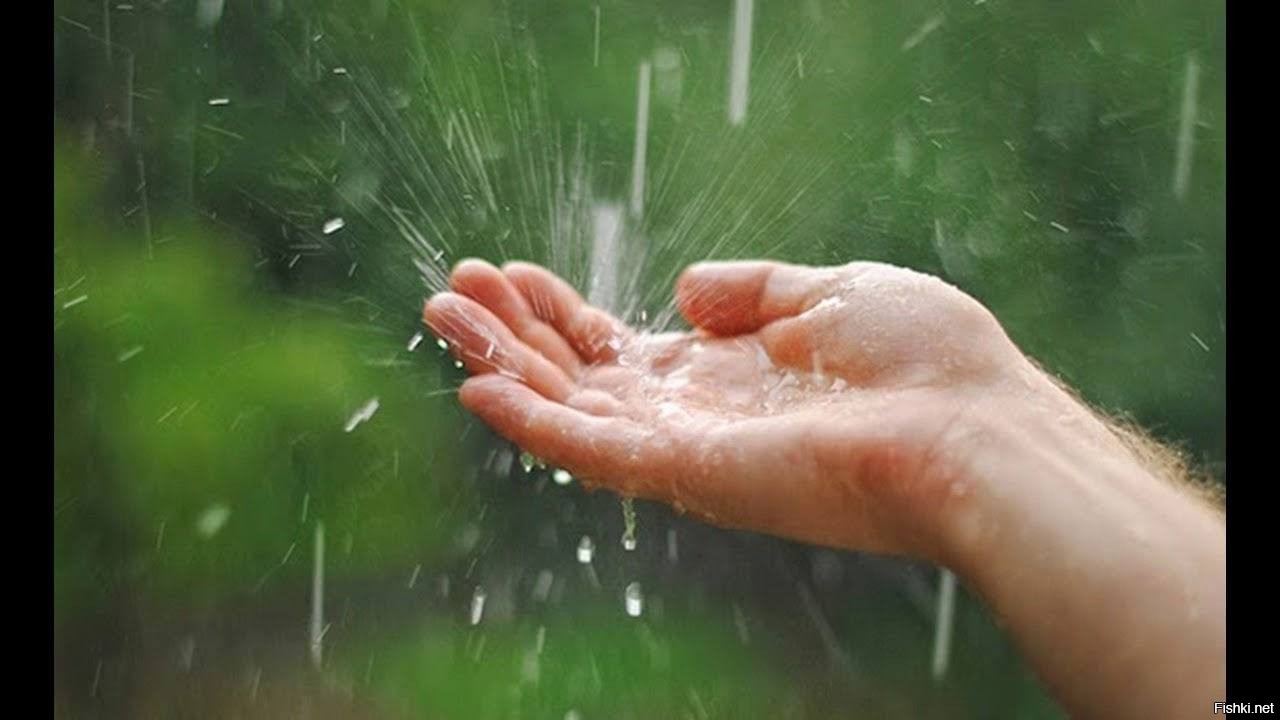 Девушка под дождем. Дождь не трожь мою. Девушка с зонтом. Дождь не трожь мою. Девушка с зонтом под дождем.