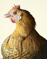 Регина Тодоренко попыталась повторить популярный тренд, но у неё ничего не получилось