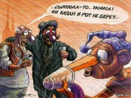 Фотоприколы и&nbsp;прикольные картинки