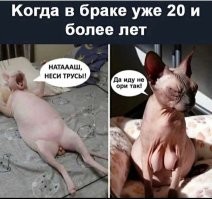 Комментарии и картинки из соцсетей. Свежак за 23 августа
