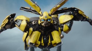 Bumblebee.