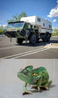 Намешалось