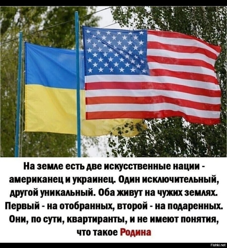 В ООН не смогли перевести мову украинского брехуна