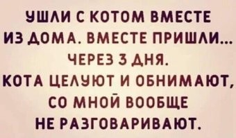Скрины из соцсетей&nbsp;