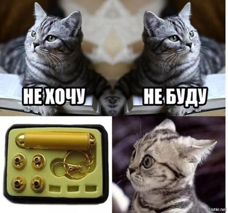 Давно не было м. Мемы с котами. Кот Мем. Классные мемы с котами. Прикольные коты мемы.