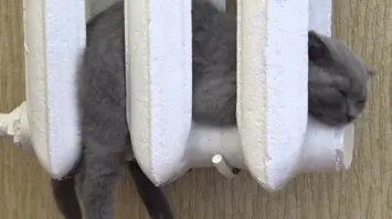 Скоро во многих квартирах страны.