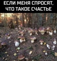 Кому было жарко летом? Меньше недели осталось до наступления осени