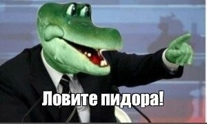 "Ненавижу самокатчиков!": истории от тех, кто от них ещё и пострадал