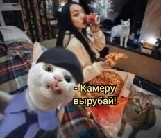 Намешалось