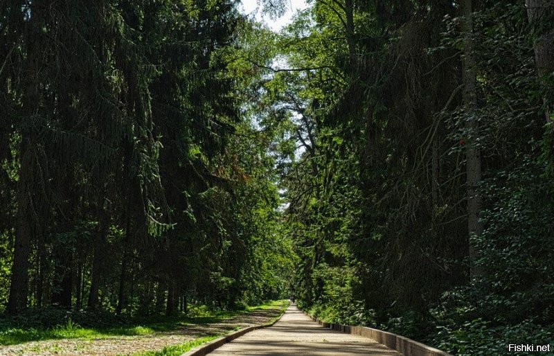 Куршская коса. Россия.