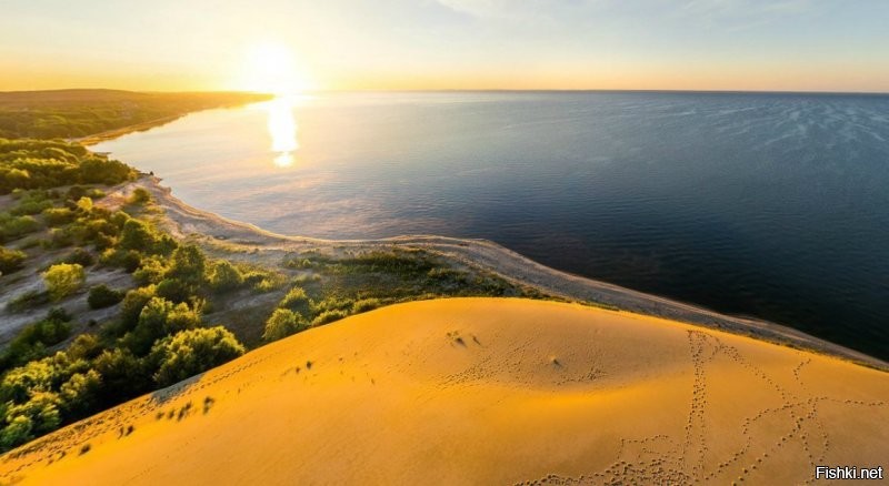 Куршская коса. Россия.