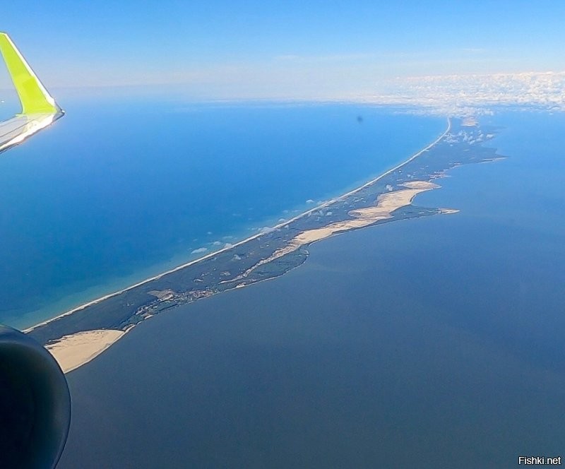 Куршская коса. Россия.