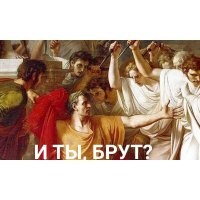 Четвероногий рыцарь и исход странного, но справедливого поединка