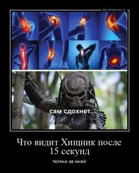 Самые интересные догонялки случились в Петербурге