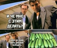 Наполивала: подводим итоги дачного сезона вместе с девушками из соцсетей