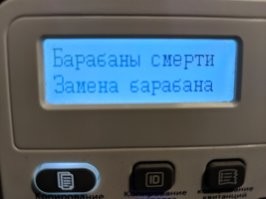 У Пантума бывает интереснее: