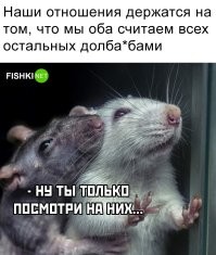 Мужчины, женщины, отношения: убойные ситуации, которые происходят ежедневно
