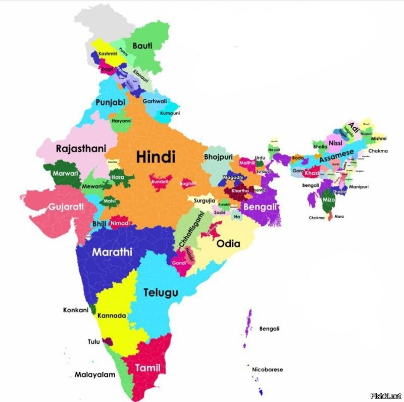 Там много кто живет. А индусы это религия. И религий в стране Индия тоже не мало хотя индусы большинство.