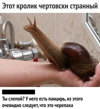 Мать-одиночка разбогатела на разведении улиток