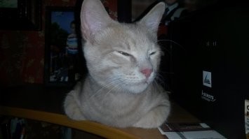 Презрение, порождающее любовь и обнимашки